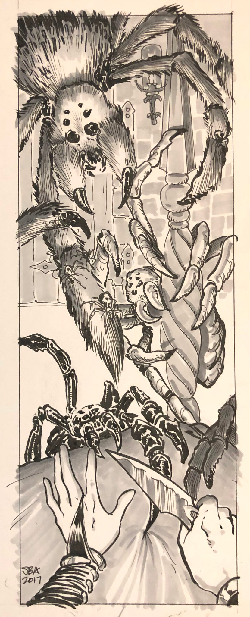 Folio #14: Spiders